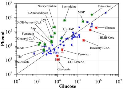 Utilization of Phenol as Carbon Source by the Thermoacidophilic Archaeon Saccharolobus solfataricus P2 Is Limited by Oxygen Supply and the Cellular Stress Response